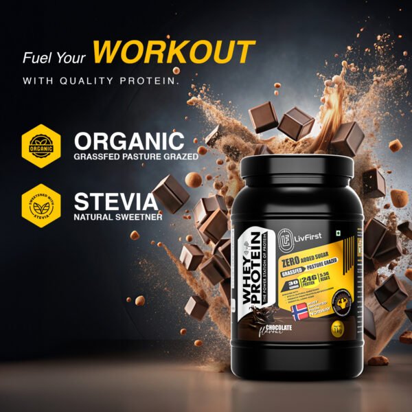 Whey Protein Concentrate - Chocolate